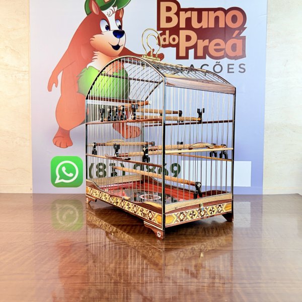 Gaiola 6 R$ 10,00 Frete Grátis 