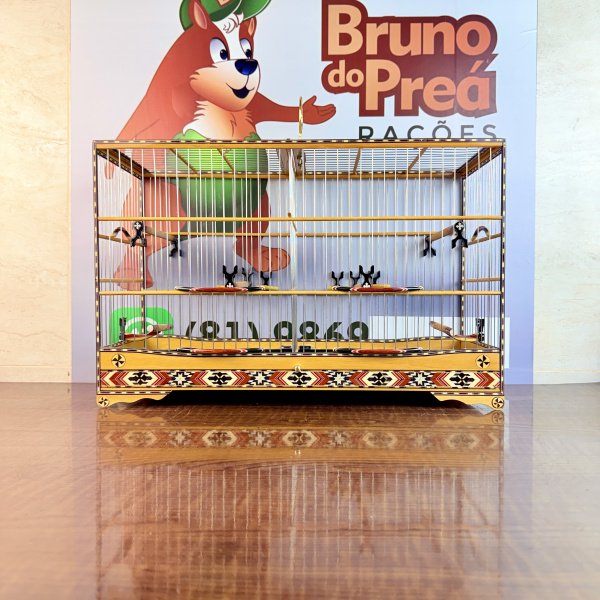 Gaiola 9 R$ 13,00 Frete Grátis 