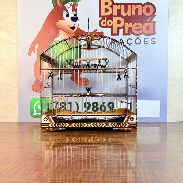 Gaiola 6 R$ 13,00 Frete Grátis 