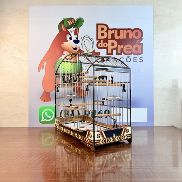 Gaiola 6 R$ 13,00 Frete Grátis 