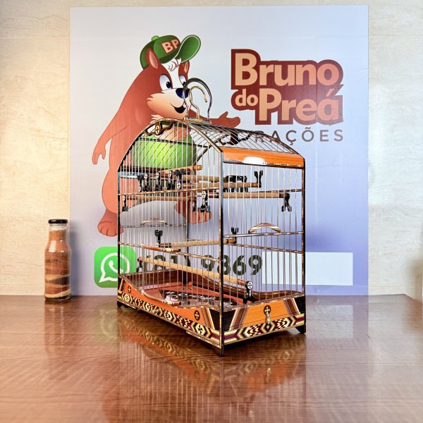 Gaiola 5 R$ 13,00 Frete Grátis 